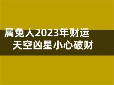 属兔人2023年财运 天空凶星小心破财