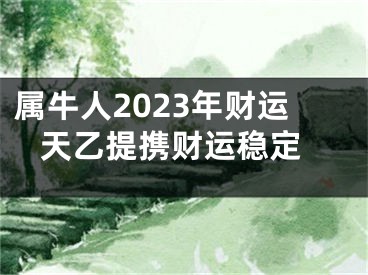 属牛人2023年财运 天乙提携财运稳定