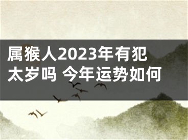 属猴人2023年有犯太岁吗 今年运势如何