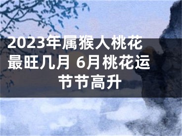 2023年属猴人桃花最旺几月 6月桃花运节节高升