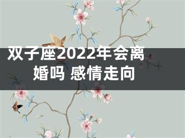 双子座2022年会离婚吗 感情走向