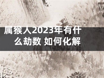 属猴人2023年有什么劫数 如何化解