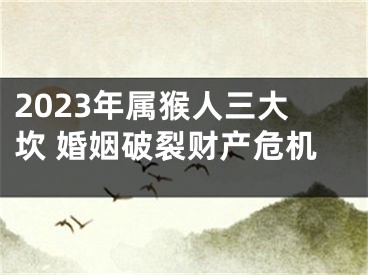 2023年属猴人三大坎 婚姻破裂财产危机