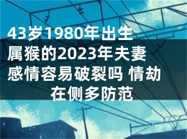 43岁1980年出生属猴的2023年夫妻感情容易破裂吗 情劫在侧多防范