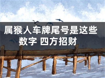 属猴人车牌尾号是这些数字 四方招财