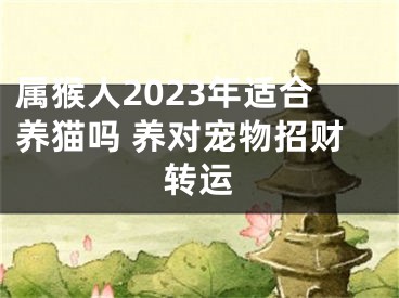 属猴人2023年适合养猫吗 养对宠物招财转运