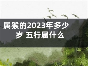 属猴的2023年多少岁 五行属什么