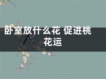 卧室放什么花 促进桃花运