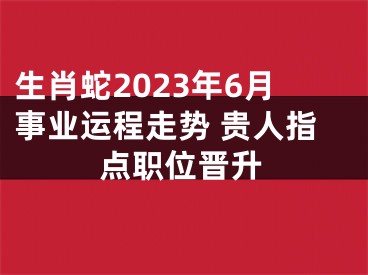 生肖蛇2023年6月事业运程走势 贵人指点职位晋升