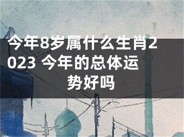 今年8岁属什么生肖2023 今年的总体运势好吗