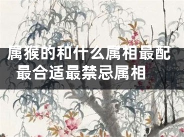 属猴的和什么属相最配  最合适最禁忌属相