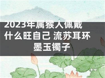 2023年属猴人佩戴什么旺自己 流苏耳环墨玉镯子