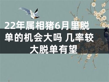 22年属相猪6月里脱单的机会大吗 几率较大脱单有望