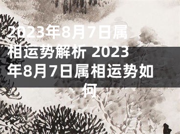 2023年8月7日属相运势解析 2023年8月7日属相运势如何