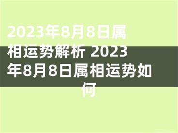 2023年8月8日属相运势解析 2023年8月8日属相运势如何