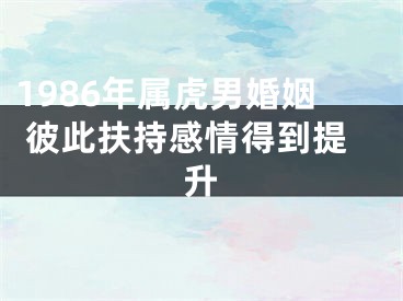 1986年属虎男婚姻 彼此扶持感情得到提升