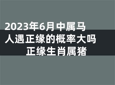 2023年6月中属马人遇正缘的概率大吗 正缘生肖属猪