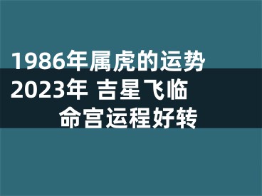 1986年属虎的运势2023年 吉星飞临命宫运程好转