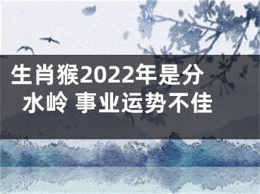 生肖猴2022年是分水岭 事业运势不佳