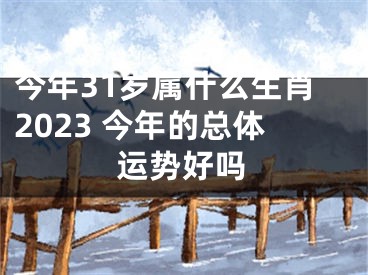 今年31岁属什么生肖2023 今年的总体运势好吗