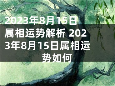 2023年8月15日属相运势解析 2023年8月15日属相运势如何