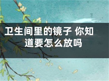 卫生间里的镜子 你知道要怎么放吗