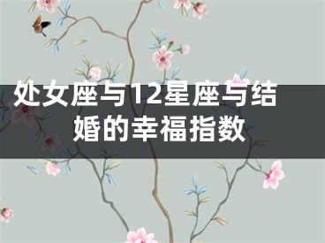 处女座与12星座与结婚的幸福指数