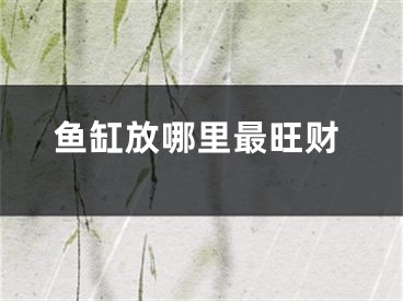 鱼缸放哪里最旺财