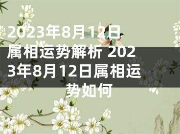 2023年8月12日属相运势解析 2023年8月12日属相运势如何