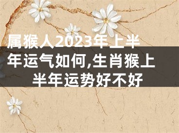 属猴人2023年上半年运气如何,生肖猴上半年运势好不好