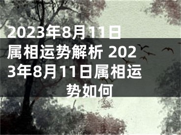 2023年8月11日属相运势解析 2023年8月11日属相运势如何