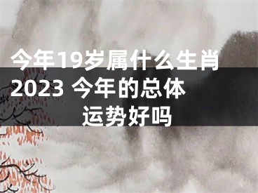 今年19岁属什么生肖2023 今年的总体运势好吗