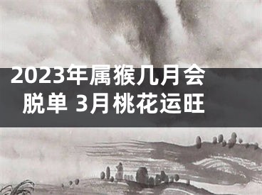 2023年属猴几月会脱单 3月桃花运旺