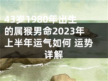 43岁1980年出生的属猴男命2023年上半年运气如何 运势详解