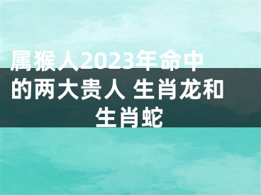 属猴人2023年命中的两大贵人 生肖龙和生肖蛇