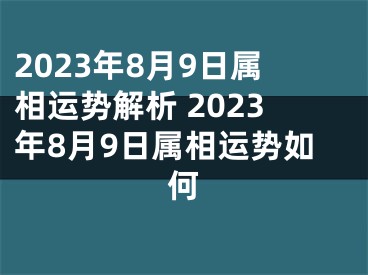 2023年8月9日属相运势解析 2023年8月9日属相运势如何