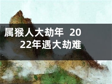 属猴人大劫年  2022年遇大劫难