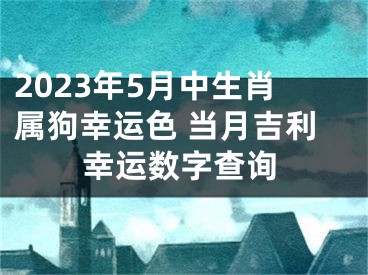 2023年5月中生肖属狗幸运色 当月吉利幸运数字查询