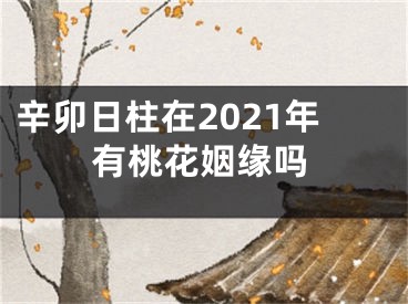 辛卯日柱在2021年有桃花姻缘吗