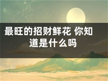 最旺的招财鲜花 你知道是什么吗