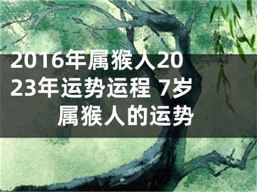 2016年属猴人2023年运势运程 7岁属猴人的运势