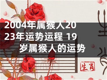 2004年属猴人2023年运势运程 19岁属猴人的运势