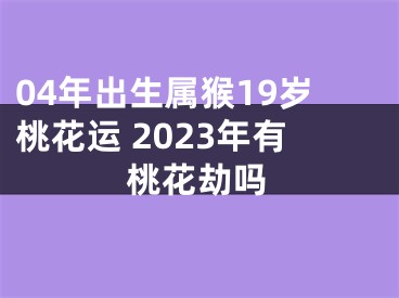 04年出生属猴19岁桃花运 2023年有桃花劫吗