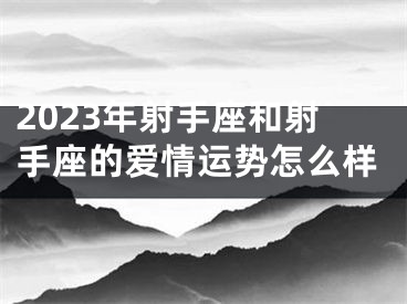 2023年射手座和射手座的爱情运势怎么样