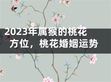 2023年属猴的桃花方位，桃花婚姻运势