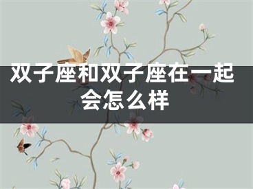 双子座和双子座在一起会怎么样