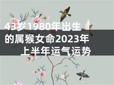 43岁1980年出生的属猴女命2023年上半年运气运势