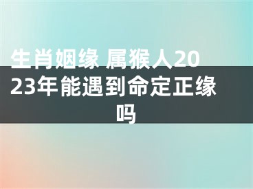 生肖姻缘 属猴人2023年能遇到命定正缘吗