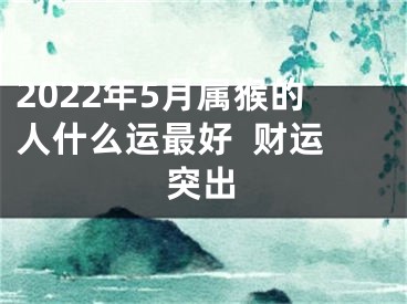 2022年5月属猴的人什么运最好  财运突出