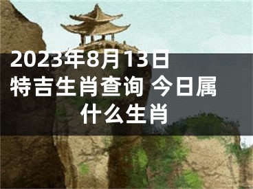 2023年8月13日特吉生肖查询 今日属什么生肖